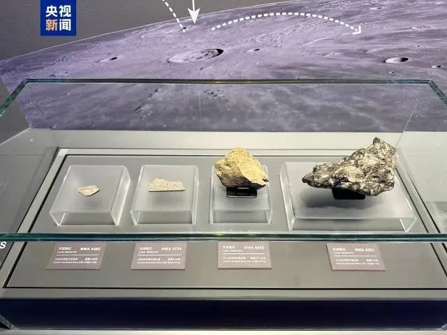 意一车次！下月5日起珠海站部分列车运行有调整→米乐体育app网站新闻早茶｜一次扫码可乘坐任(图7)