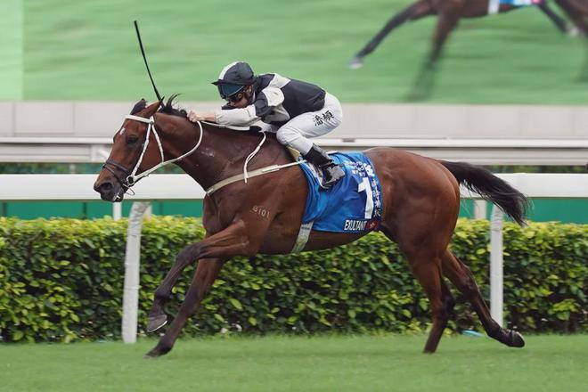 眼罩夺魁家族曾养香港马王米乐m6网站王经纬赛驹戴(图3)
