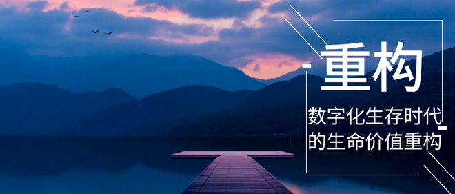 的生命价值重构数字化生存时代(图5)